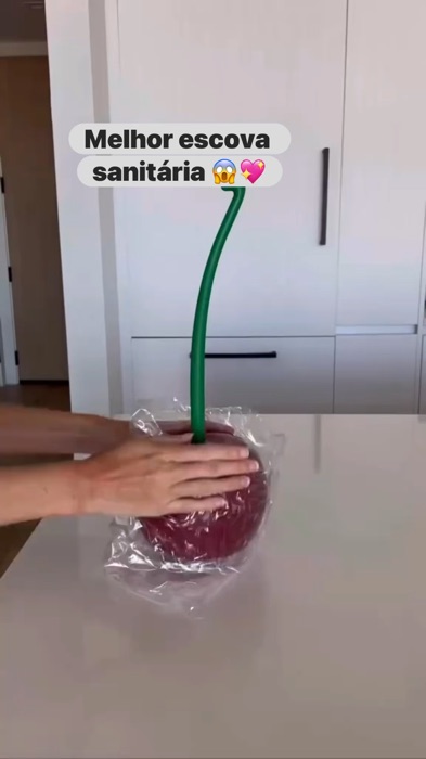 Conjunto escova de vazo