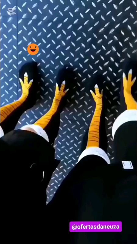 🐣 *"Fofo, confortável e cheio de estilo! Meias de galinha que são puro charme. Não dá pra perder! 🐔💫"*   #meiasdegalinha  #EstiloEngraçado
