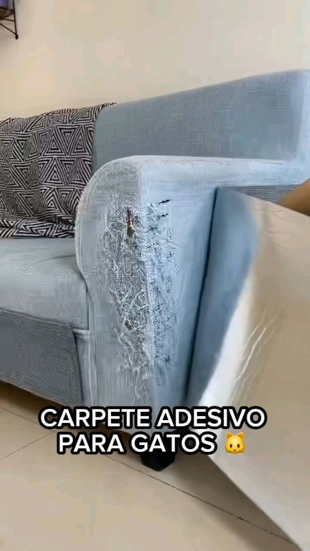 #arranhador#arranhadordegatos ,#arranhadoradesivo