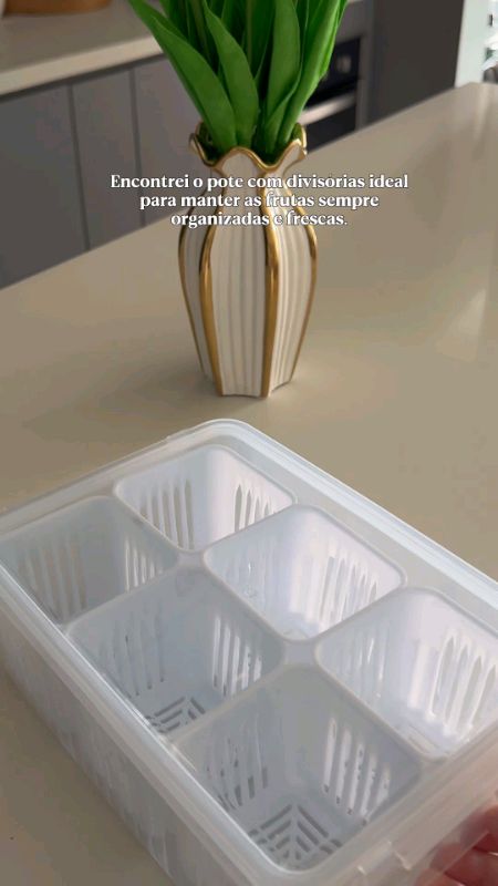 Cesto Organizador de Geladeira Com Divisórias #Organização