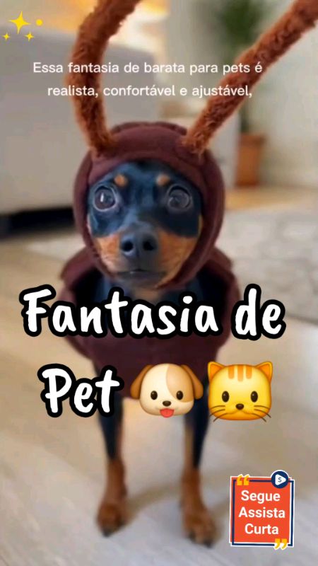 Fantasia para Pets barata 🪳 Carnaval,  Halloween Cães e Gatos – #fantasiapet  #fantasia #fantasiacachorro #fantasiagato #PetEngraçado #shoppepet