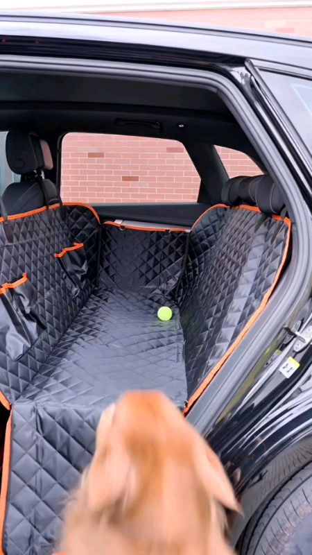 capa protetora 5 em 1 é impermeável, segura e super confortável#capaimpermeavelparacarro #capaparapet #petcarro #carro #pet
