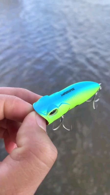 isca artificial popper #pesca #mar #isca #iscaartificial #marine #sol #lazer #PescaEsportiva