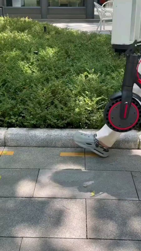 Patinete eletrico adulto 350w