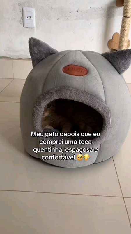 Casinha Caminha Para Pets Gato Cachorro Cães Iglu #casinhaparapet #caminhaparagato #cama #casinhadepet #tocapet #caminhaparacachorro #viral #fofos