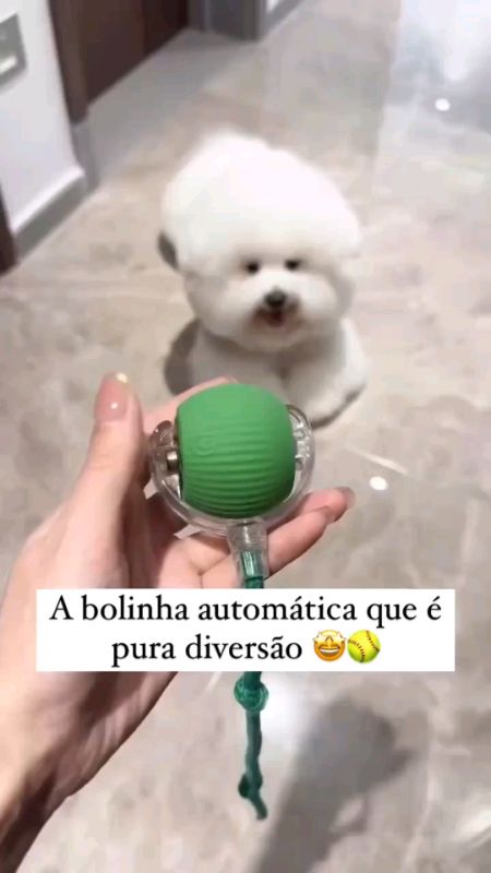 #bolabrinquedo