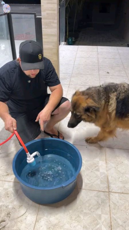 válvula de bóia de controle de nível de água totalmente automático