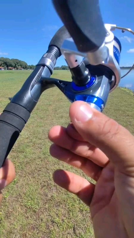 molineta micro ultra andorinha