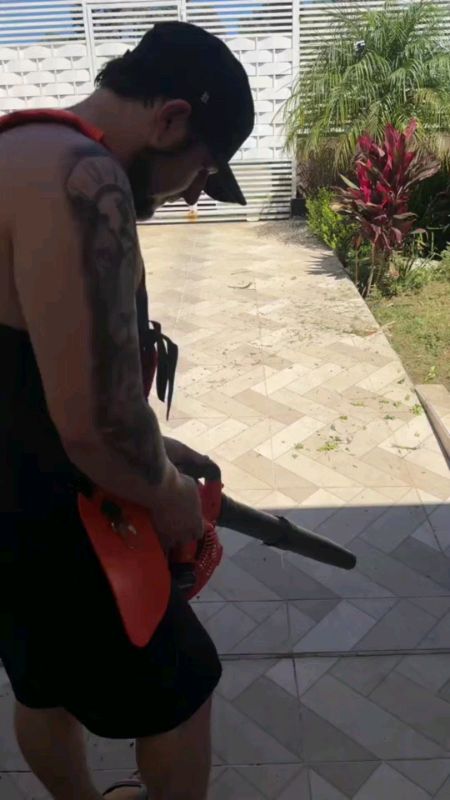 soprador de folhas a gasolina