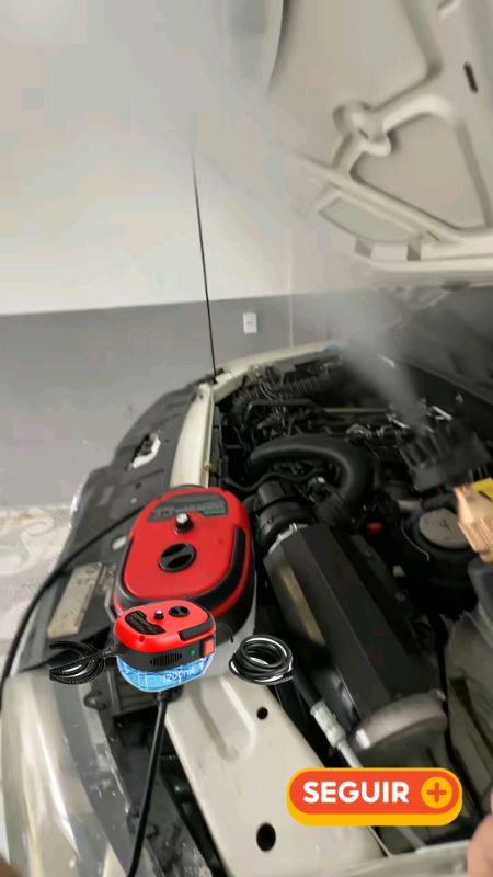 Alta Temperatura Máquina De Limpeza De Vapor De Alta PressãoAlta Temperatura #MáquinaDeLimpeza#AltaPressão#promo#viral