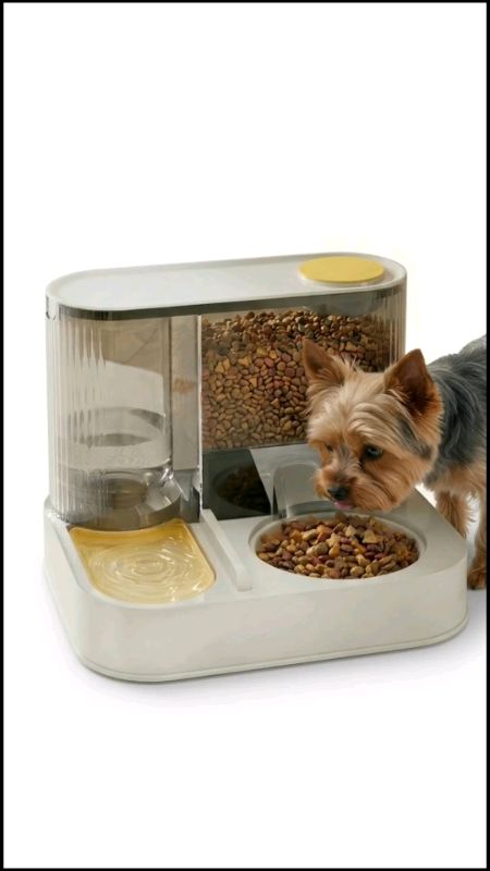Comedouro e Bebedouro Automático para Pet #bebedouropet #comedouropet