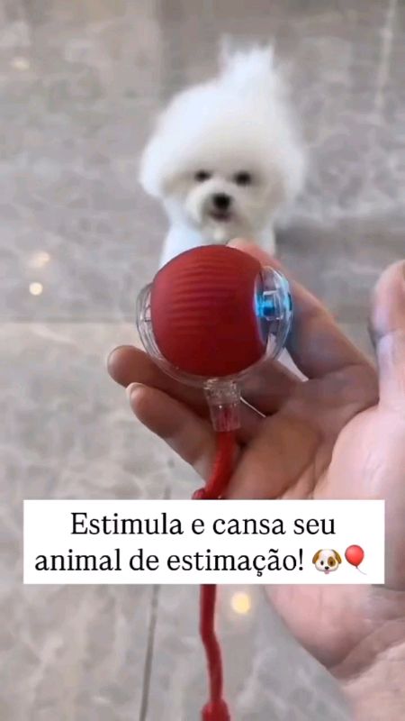 Brinquedos Inteligentes | Bolinha de Rolamento Automática Calda Falsa | Gatos | Cão| Pet #brinquedo #bola #gato #cachorro #pet #divertido #brincadeira