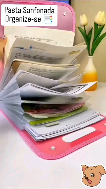Guarde documentos com praticidade! #Organização #ShopeeAchados #Utilidades #pasta #documentos #Shopeevideo #acheinashopee #achadosdashopee #shopeebr