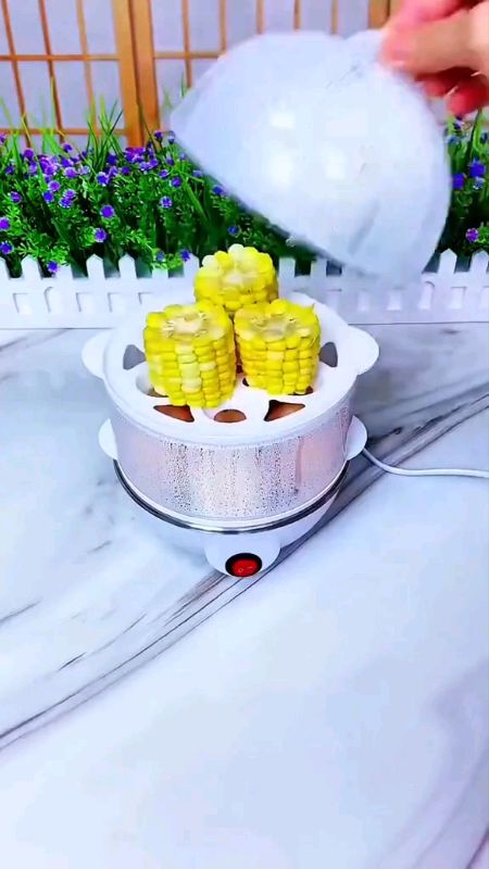 Cozedor De Ovos Portátil Elétrico Cozinha A Vapor 110v/220v. Legumes , verduras, milho etc.