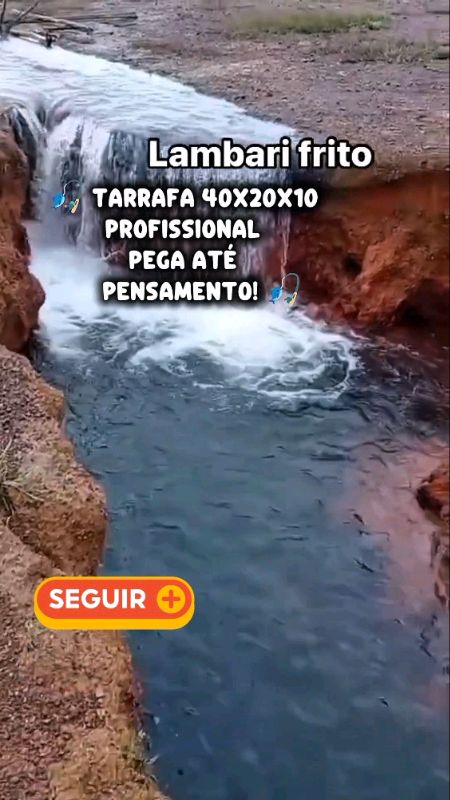 #TarrafaProfissional #PescaCaipira #PescaEsportiva #Tilapia #Lambari #PeixeRei #RedeDePesca #ShopeeVideo #AchadinhoRural #PescadorRaiz