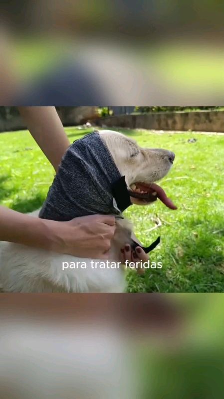 protetor de ouvido para cachorro #protetordeouvido #protecaodeouvidodecão #protetorpet #acessoriospet #CuidadosComPet #produtospet #protecaodeouvido