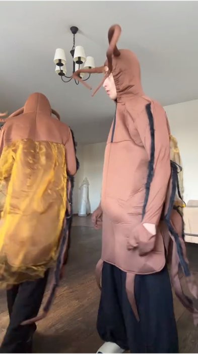 Fantasia barata #carnaval #fantasia #homembarata #mulherbarata #fantasiabarata #barata #baratinha #fantasiaadulto #adulto #festafantasia #viral #fyyy