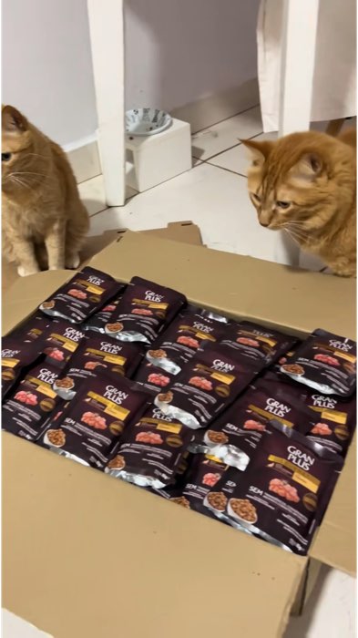 🐾 Seu pet merece esse carinho! Gran Plus sachê com preço imperdível na Shopee 💥  #Shopee #ShopeeBrasil #OfertaShopee #AchadinhosShopee #GranPlus #Ra