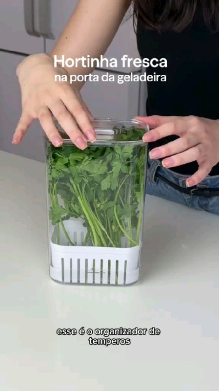 Pote Organizador De Temperos Verduras Geladeira 2,3L Com Escorredor Coentro Salsinha Manjericão #pote #organizador #temperos #verduras #escorredor