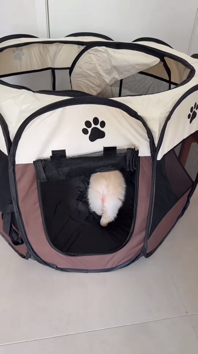 Casa para animais de Estimação #casa #casaparaanimais #casapet #cachorro #gato #animais #cuidadopet #confortopet