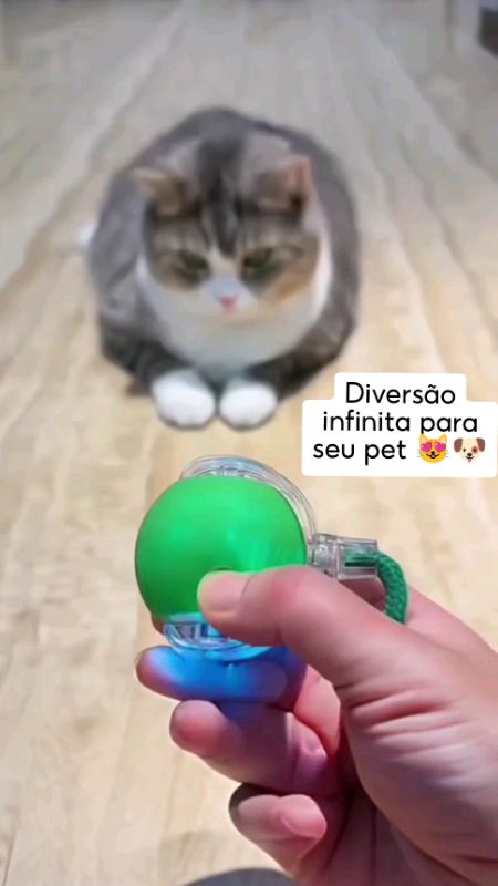 Bolinha Inteligente Elétrica para Cães e Gatos 🎾✨ #brinquedopet #shopee #petshop #caes #gatos #diversaopet #gadgetpet #petlover #oferta #shopeebr