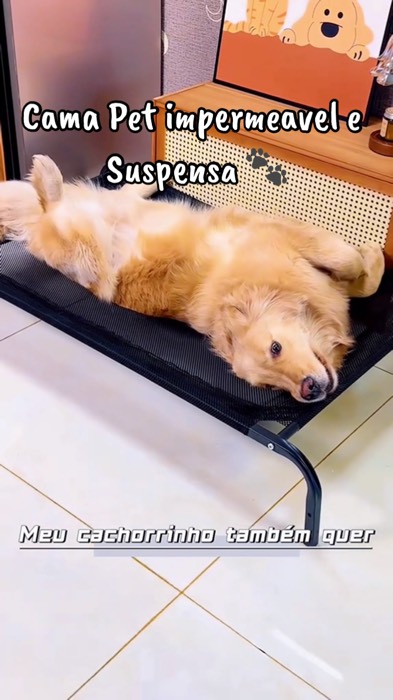 Cama Pet Impermeável Suspensa e Respirável Portátil Reforçada e Lavável 🐾 #camapet #camaparacachorro #pet #camaimpermeavelpet