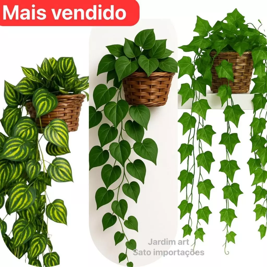 Oferta