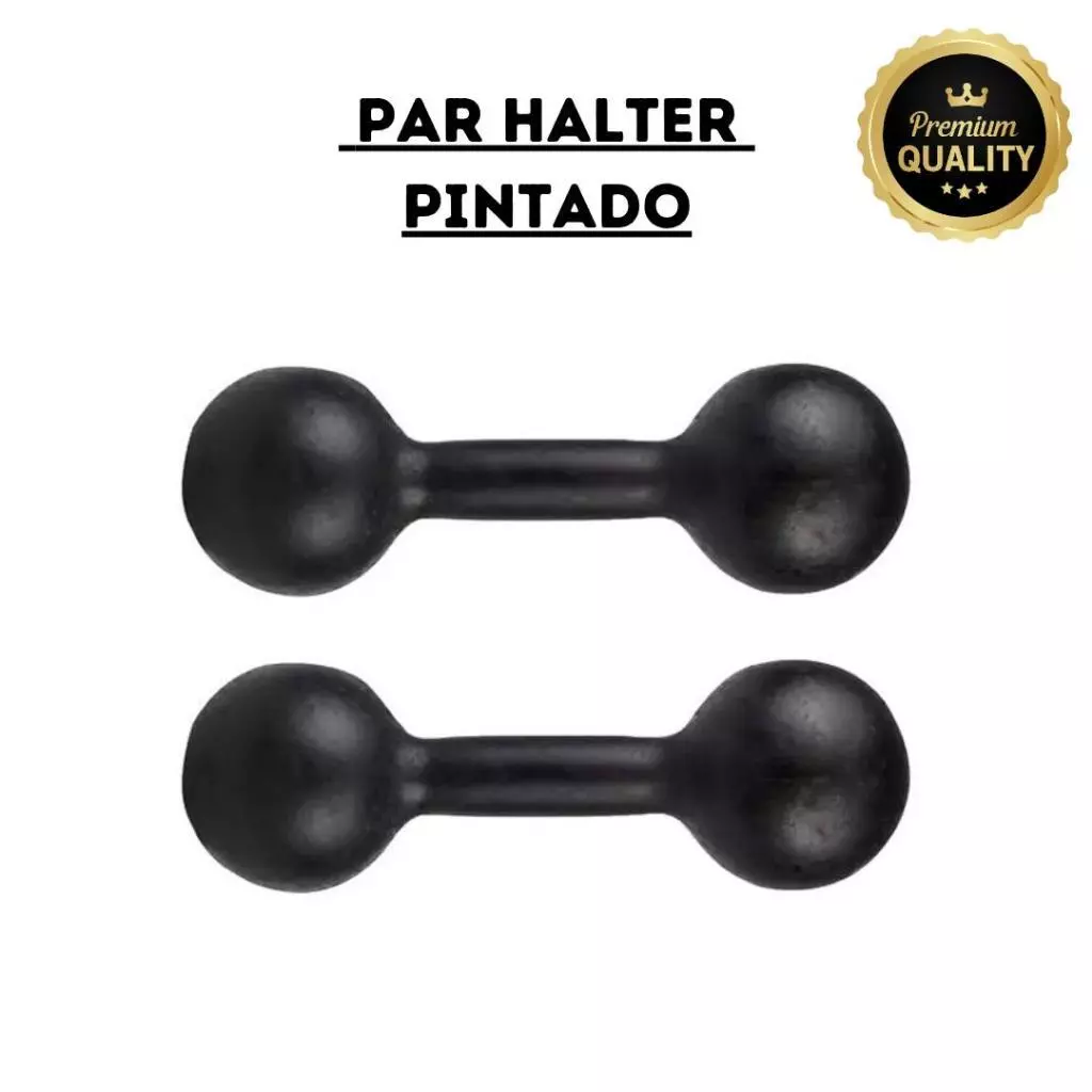 Par Halter Pintado Bola - 1 Kg ao 5 Kg Academia Musculação Treino Em Casa