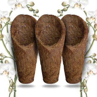Kit 3 Vaso Cachepot Para Orquídeas Fibra de Coco Modelo Concha Tamanho M (Médio) - (3 unid